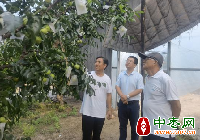图片 1