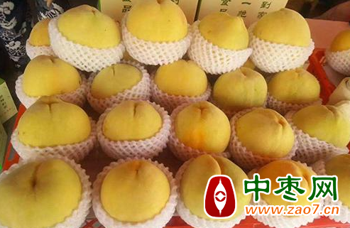 图片10