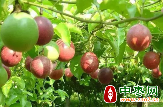 图片3