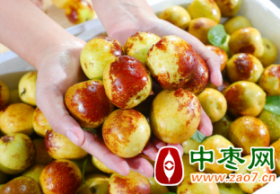 新疆图木舒克：冬枣丰收 采摘忙销售旺 ()