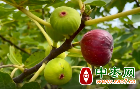 图片2