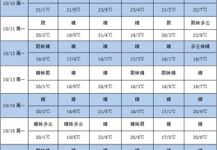本周天气晴朗 红枣即将下树 ()