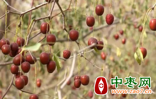 图片2