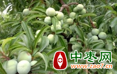 图片2