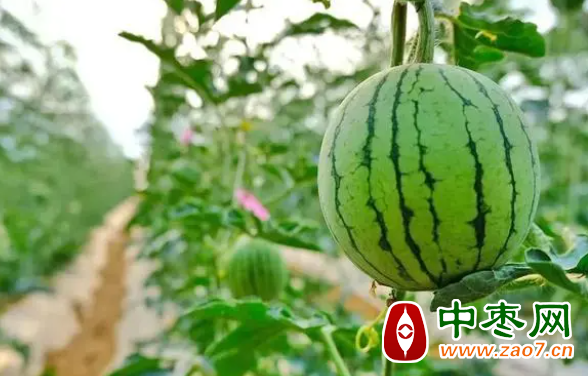 图片2