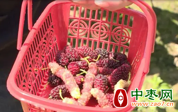 图片2