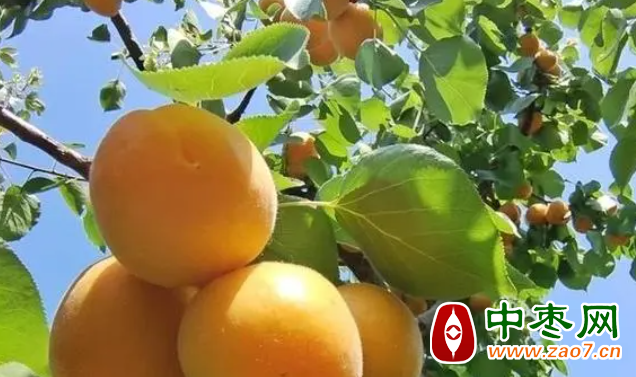图片2