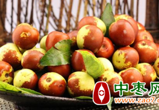 合肥冬枣上市 售价较高 ()